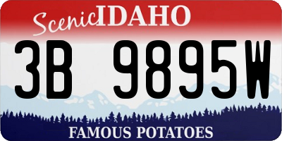 ID license plate 3B9895W