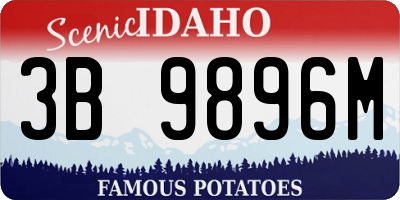 ID license plate 3B9896M
