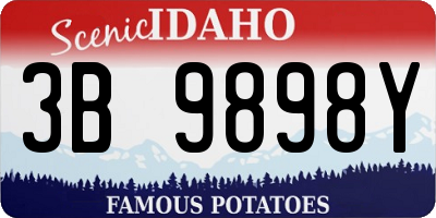 ID license plate 3B9898Y
