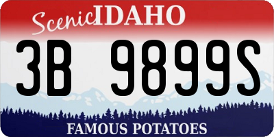 ID license plate 3B9899S