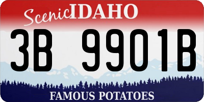 ID license plate 3B9901B