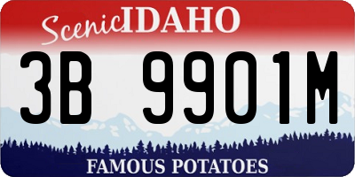 ID license plate 3B9901M
