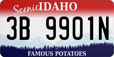 ID license plate 3B9901N