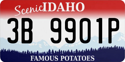 ID license plate 3B9901P