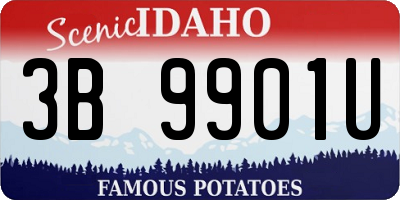 ID license plate 3B9901U