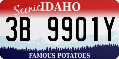 ID license plate 3B9901Y