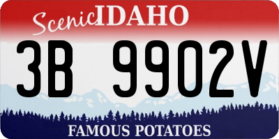 ID license plate 3B9902V