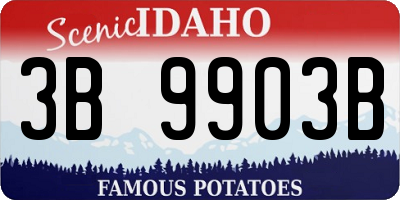 ID license plate 3B9903B