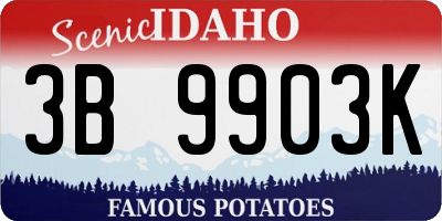 ID license plate 3B9903K