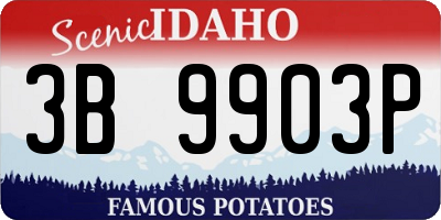 ID license plate 3B9903P