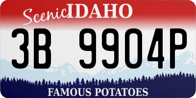 ID license plate 3B9904P