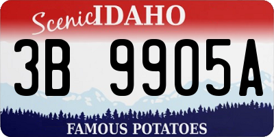 ID license plate 3B9905A