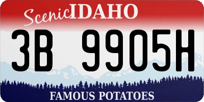 ID license plate 3B9905H