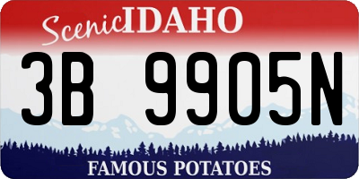 ID license plate 3B9905N