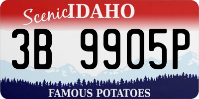 ID license plate 3B9905P
