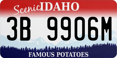 ID license plate 3B9906M