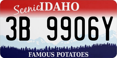 ID license plate 3B9906Y