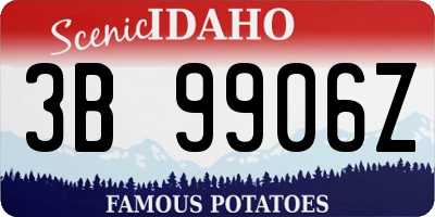 ID license plate 3B9906Z