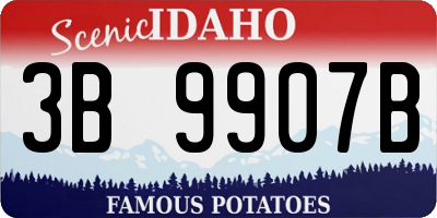 ID license plate 3B9907B