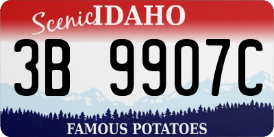 ID license plate 3B9907C
