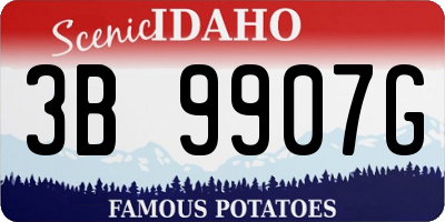 ID license plate 3B9907G