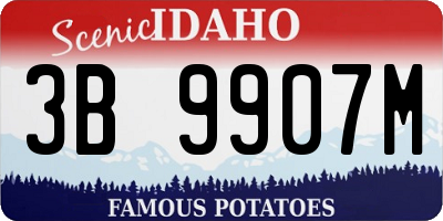 ID license plate 3B9907M