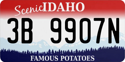 ID license plate 3B9907N