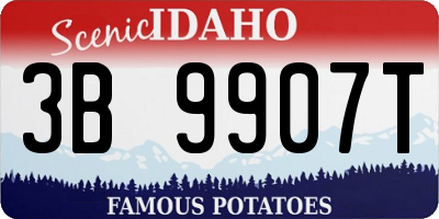 ID license plate 3B9907T