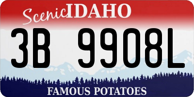 ID license plate 3B9908L