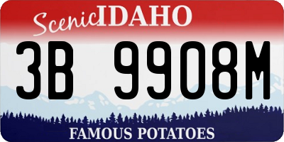 ID license plate 3B9908M