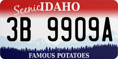 ID license plate 3B9909A