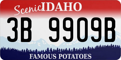 ID license plate 3B9909B