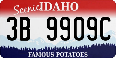 ID license plate 3B9909C