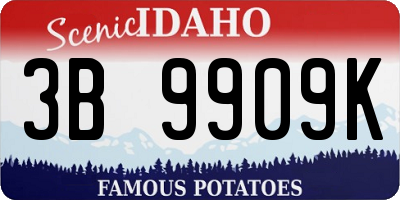 ID license plate 3B9909K