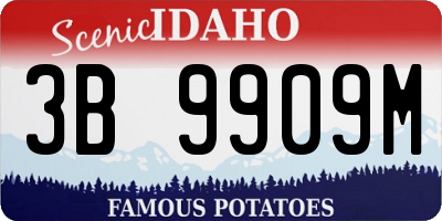 ID license plate 3B9909M
