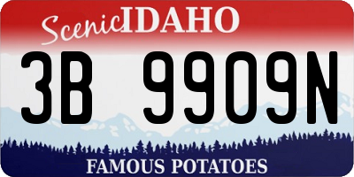 ID license plate 3B9909N
