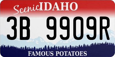 ID license plate 3B9909R
