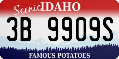 ID license plate 3B9909S