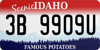 ID license plate 3B9909U