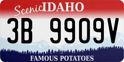 ID license plate 3B9909V