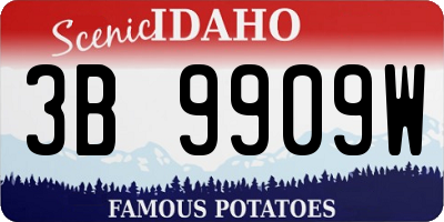 ID license plate 3B9909W