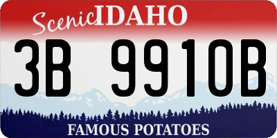 ID license plate 3B9910B