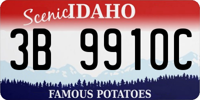 ID license plate 3B9910C