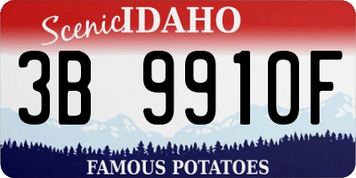 ID license plate 3B9910F