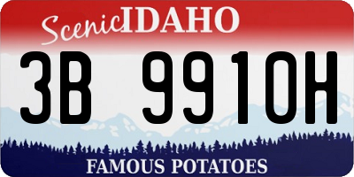 ID license plate 3B9910H