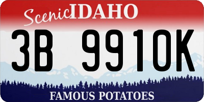 ID license plate 3B9910K