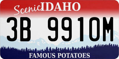 ID license plate 3B9910M