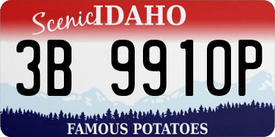 ID license plate 3B9910P