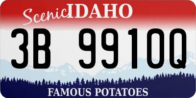 ID license plate 3B9910Q