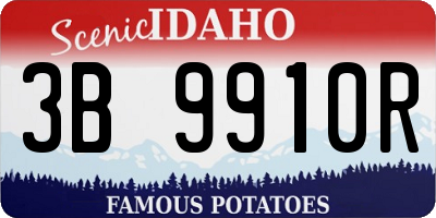 ID license plate 3B9910R